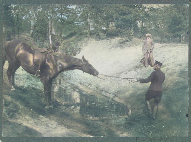 Equestrian scene on Koninklijke Houtvesterij Het Loo rider leads horse around a water, anonymous, c. 1900 - c. 1925_colorSAI_result