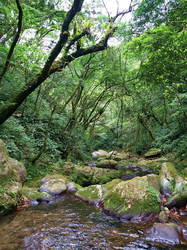 Tonghou River source hike: a great trail to embrace the hot summer in Taiwan