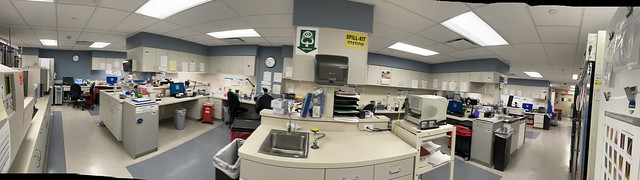 A quiet moment in the microbiology lab