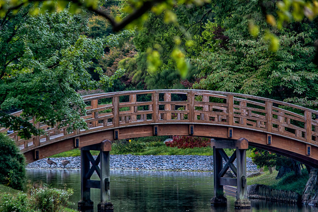 serenity bridge