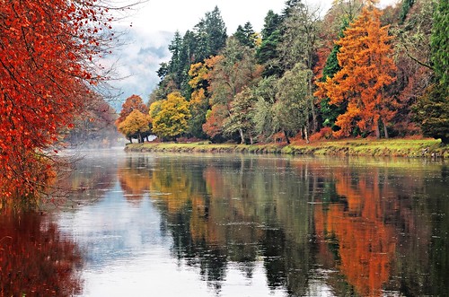 ericrobbniven scotland dunkeld dundee landscape autumn springwatch