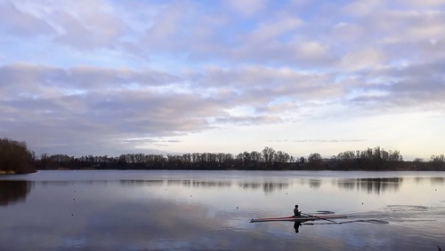 sunrise belgium lake boat reflection blue grey tree outdoor rowing sport