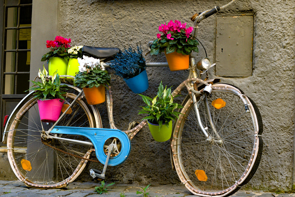 Recycled Bike and Flowers - Italia