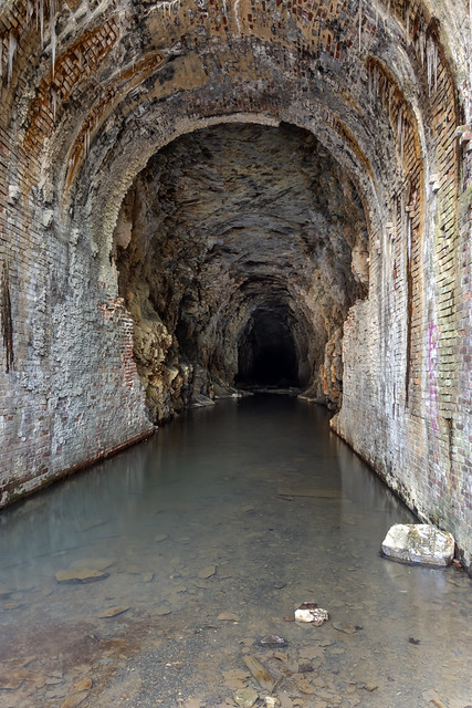 TAG Railroad Tunnel, Crockford Pigeon WMA, Walker County, Georgia 1