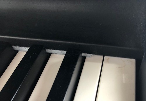 Fatar Kurzweil DOEPFER piano Key Touche Spare Part NOTE D 