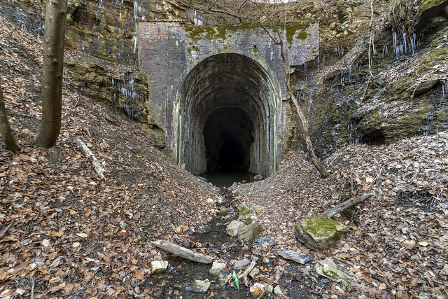 TAG Railroad Tunnel, Crockford Pigeon WMA, Walker County, Georgia 2