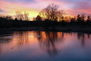 Winter Sunset 360 of 365 (Year 7)