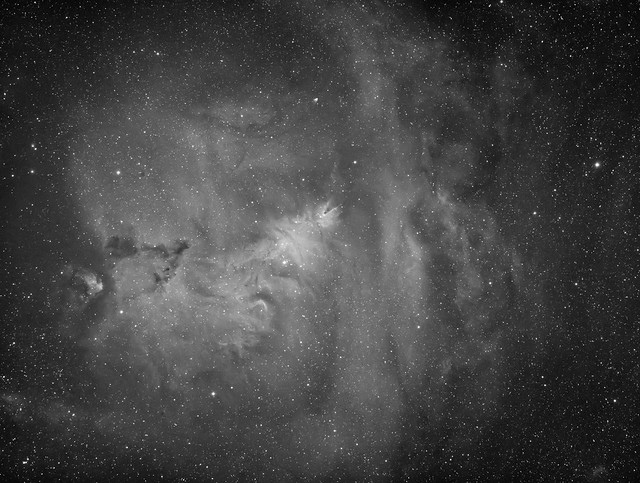 NGC 2264 Hydrogen alpha Borg55FL