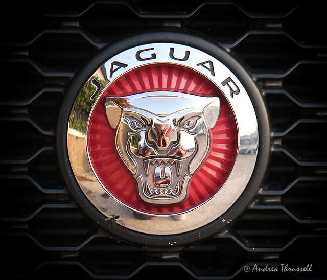 Red Jaguar