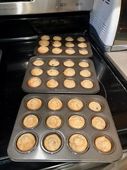 Flourless banana oat chocolate chip muffins