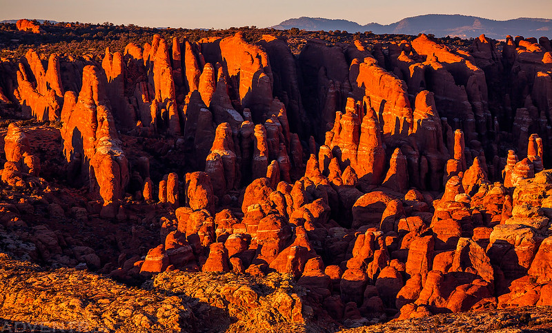 Fiery Furnace