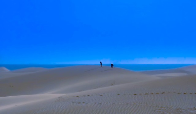 Blue desert