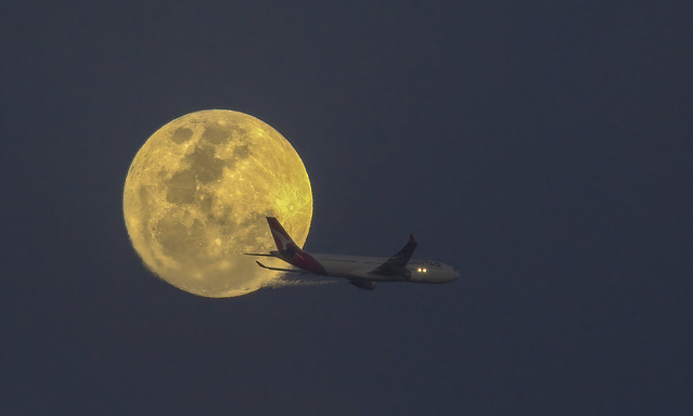 20201005 Fly me to the Moon 1 #explore