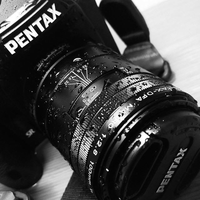 Pentax 100mm f/2.8 Macro WR