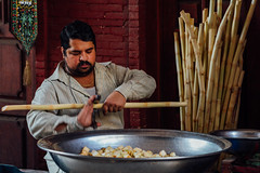 Cutting Sugarcane to Sell, Lahore Pakistan