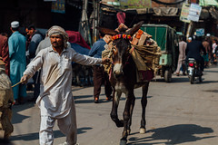 Man Pulling Donkey with Bricks, Lahore Pakistan