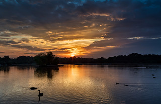Petersfield Pond Sunrise