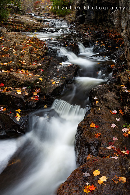 Duck Creek in Autumn, Acadia N.P., Maine