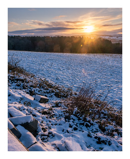Winter sun at Woolley Edge