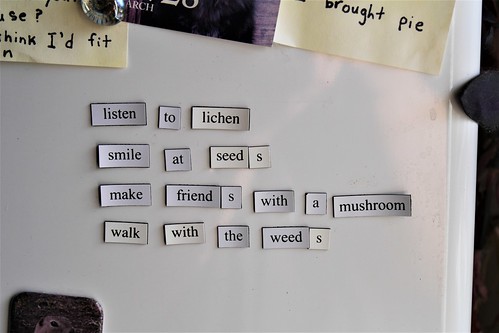 Magnetic poem on a fridge, text below