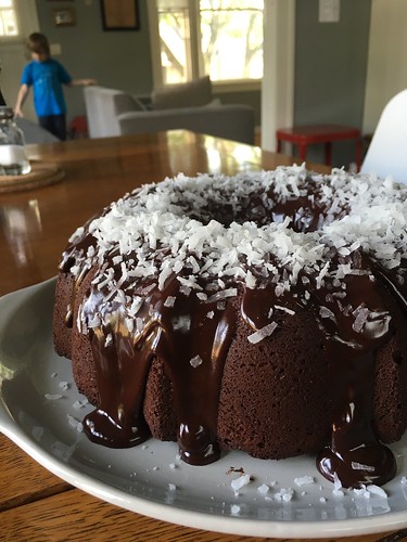 Chocolate coconut bundt cake
