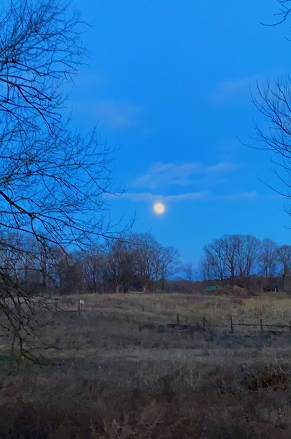 Full moon over the fields December 29, 2020