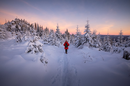 dreisessel landschaft outdoor natur landscape bayrischer wald leica sonnenaufgang morning sunrise snow winter
