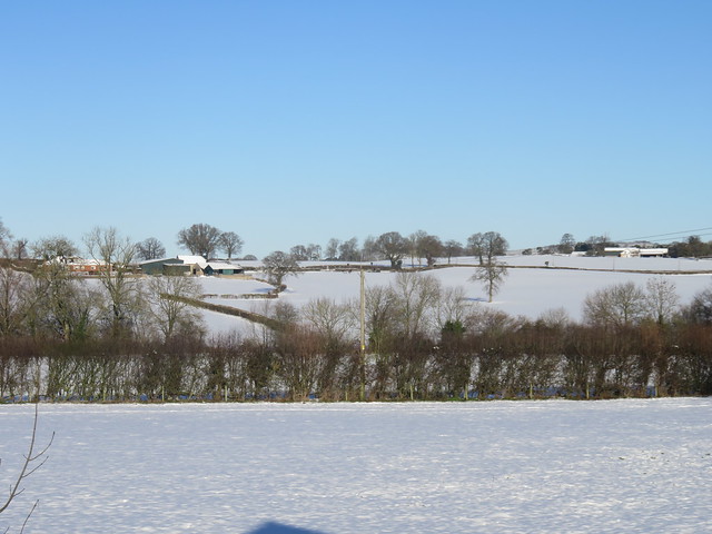Winter Landscape.