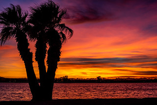 Sunset @ Rotary Park, Lake Havasu City Arizona