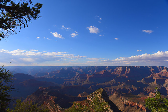 Grand Canyon National Park, Arizona, 511