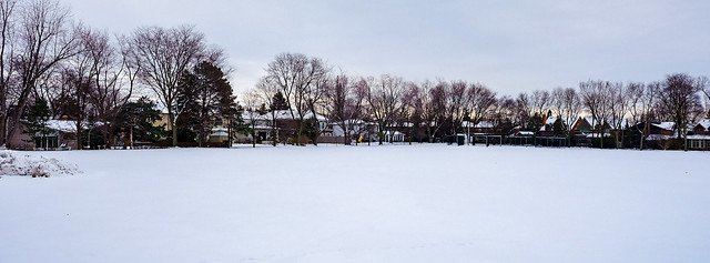 Cricket pitch in winter
