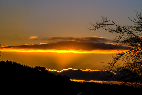 sunset clouds reflection light sky silhouette tree nikon d800