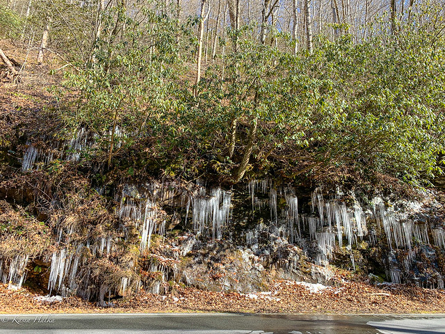 Icicles-7517