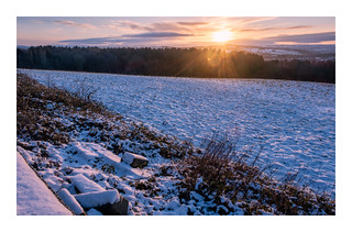 Winter sun at Woolley Edge(2)