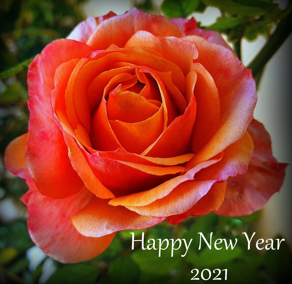 Happy New Year 2021!!