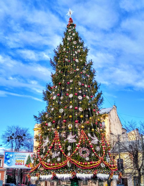 Christmas Tree at the Unity square
