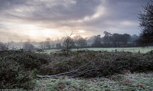 winter woodland fields december cold mist frost ice trees sunrise midwinter surrey chipstead england landscape