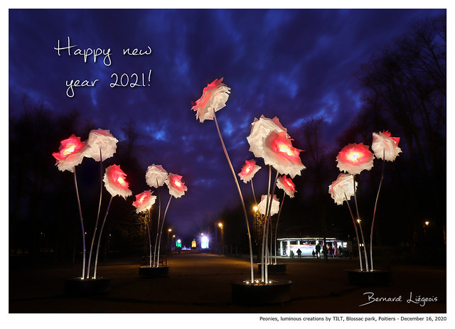 Happy New Year 2021  to all my Flickr friends !