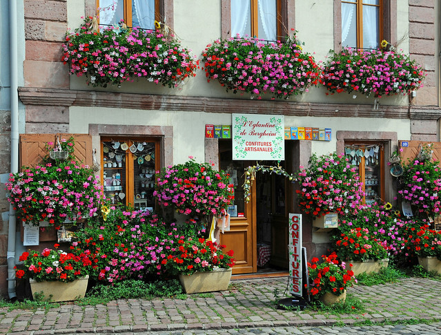 Elsass - Bergheim - Geschäftsfassade