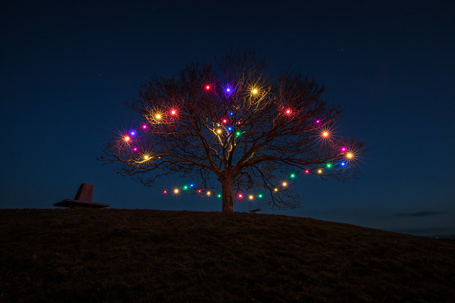 Somerset Christmas Tree