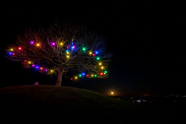 Somerset Christmas Tree