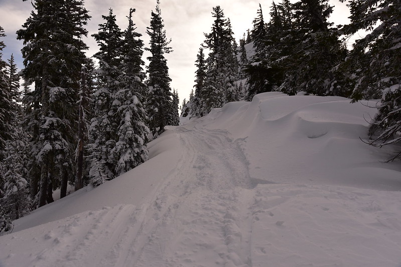 Snowshoeing Bennett Pass Road