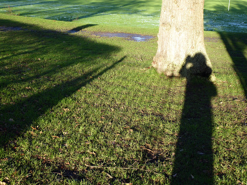 Long Shadows