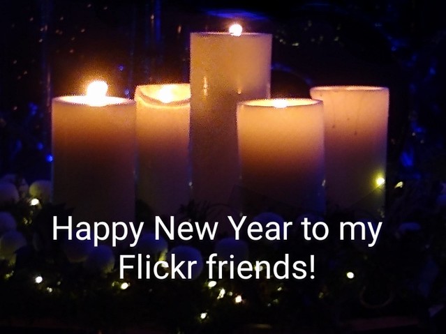 Happy New Year Flickr friends!