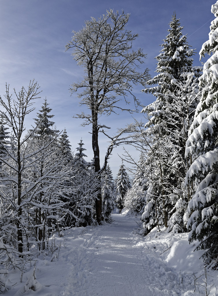 Winter wonderland in Bavaria