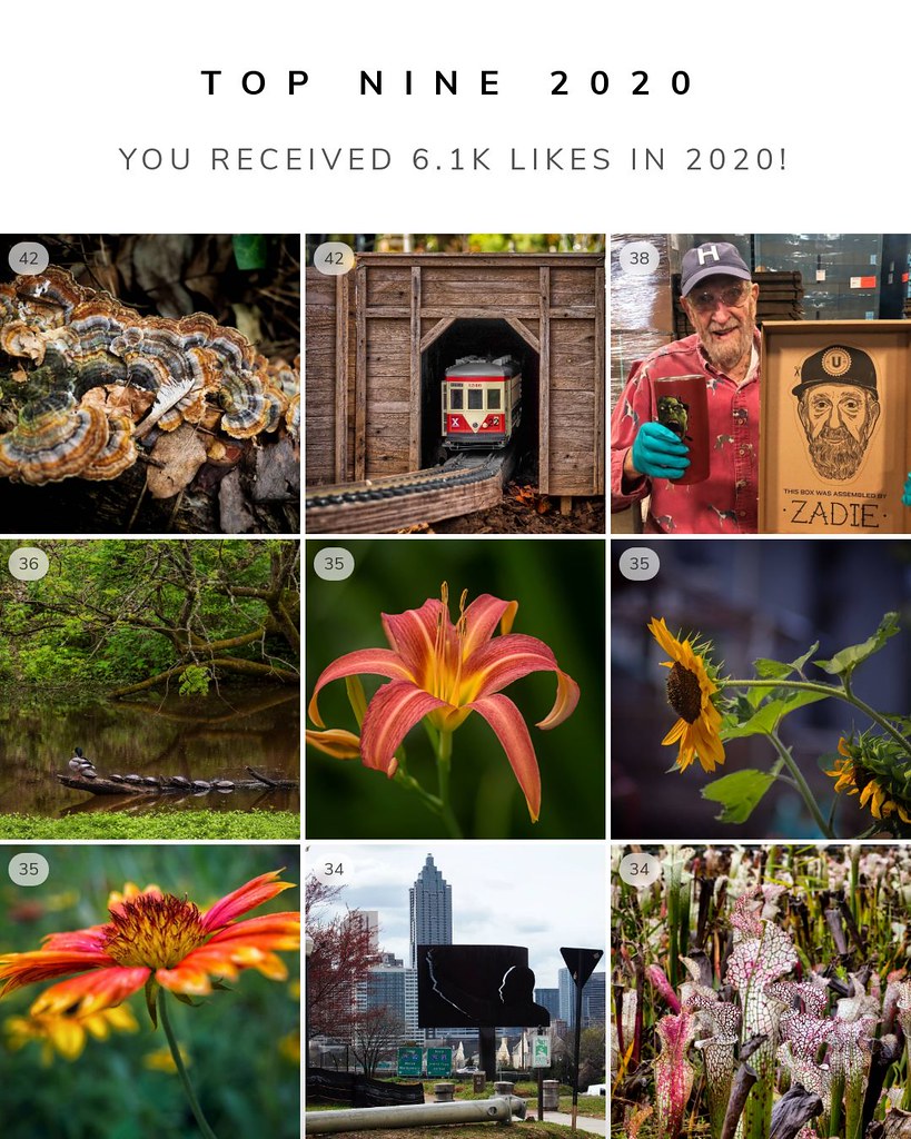 Top 9 Instagrams of 2020