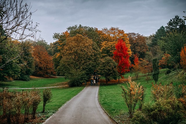 Herbst im Rombergpark 2020