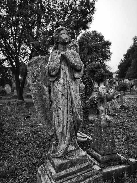 Walking between the dead of Brompton Cemetery