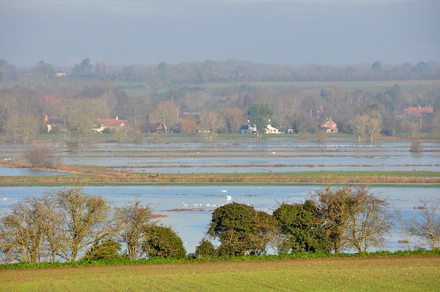 The River Waveney using some of its floodplain