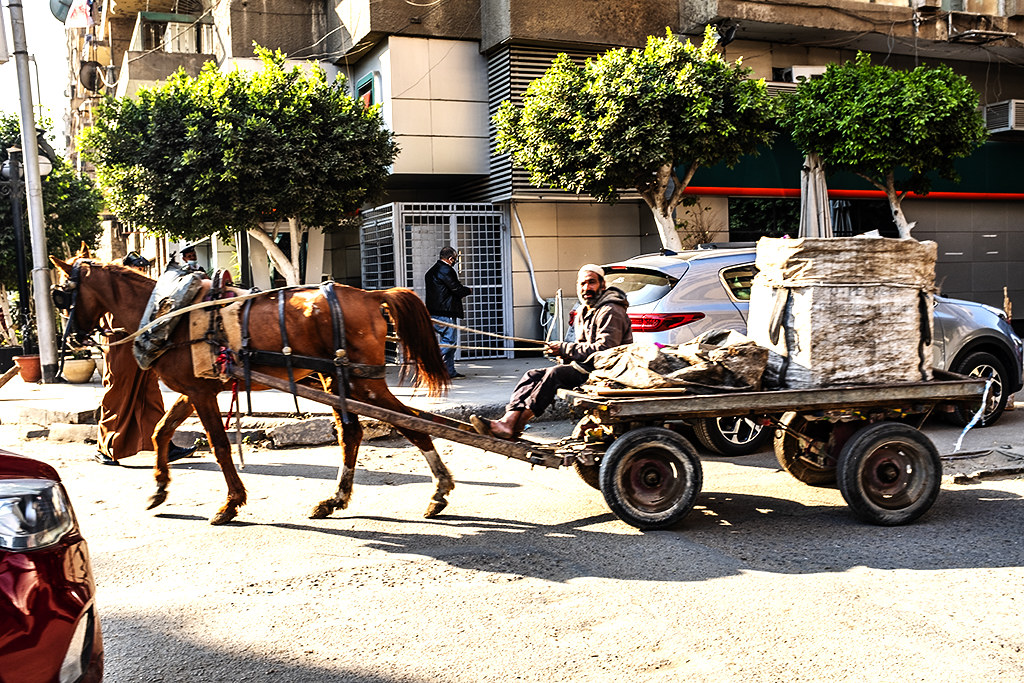 Horse drawn cart near 15th of May Bridge--Giza